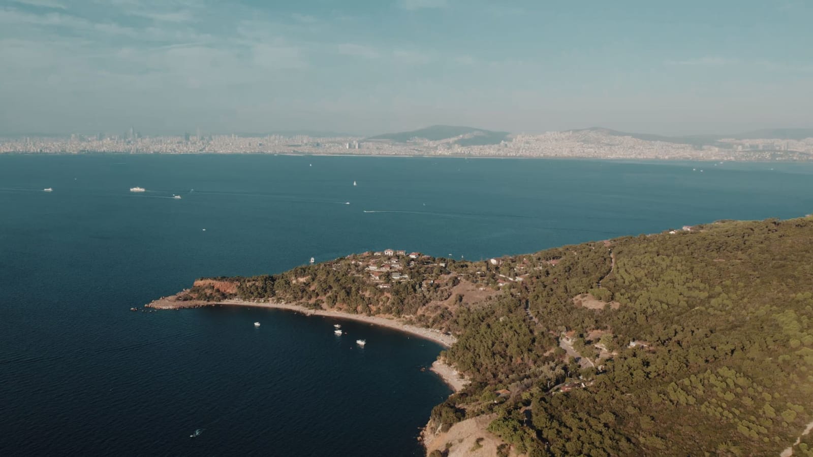 Aerial view of the forested Burgazada coastline and surrounding blue sea.
