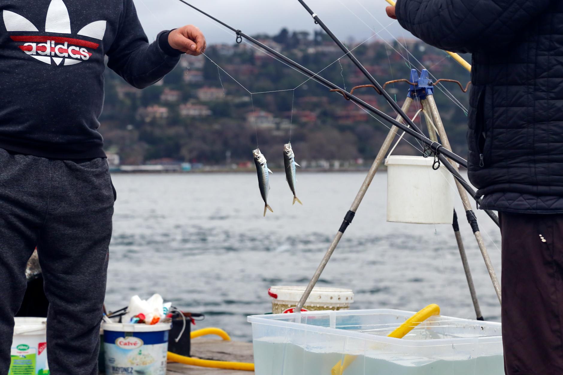 Two fishermen stand by the water's edge, likely on the Bosphorus near Arnavutköy or Bebek, as part of the experience discussed in 'Where the City Meets the Sea: My Practical Guide to the Arnavutköy and Bebek Coastline.' The foreground shows two freshly caught small fish dangling from lines, with fishing gear and buckets on a wooden pier, contrasting with the blurred, tree-covered hillsides of the opposite shore in the background.