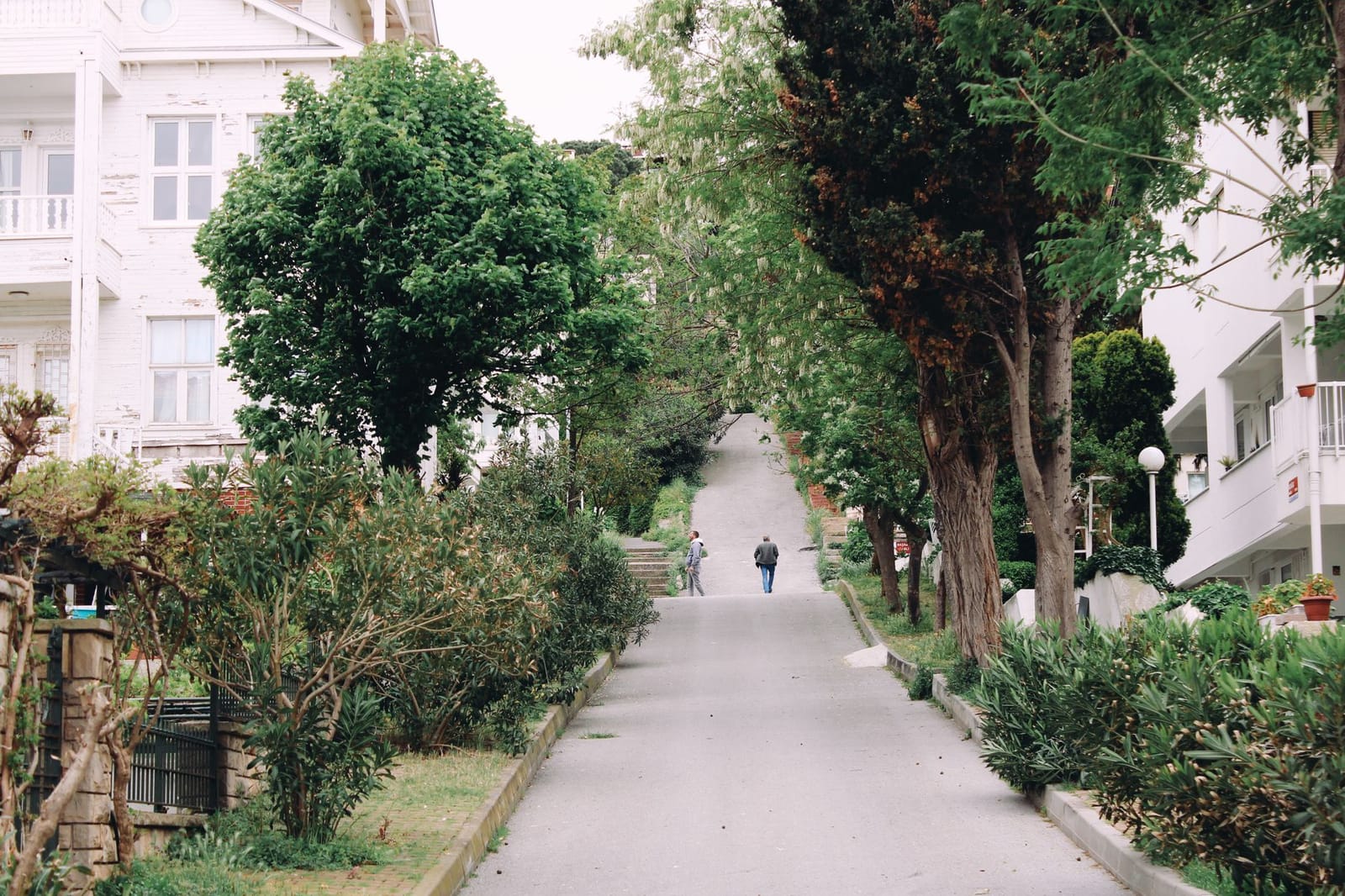Pedestrians walk uphill along a tree-lined residential street on Buyukada.