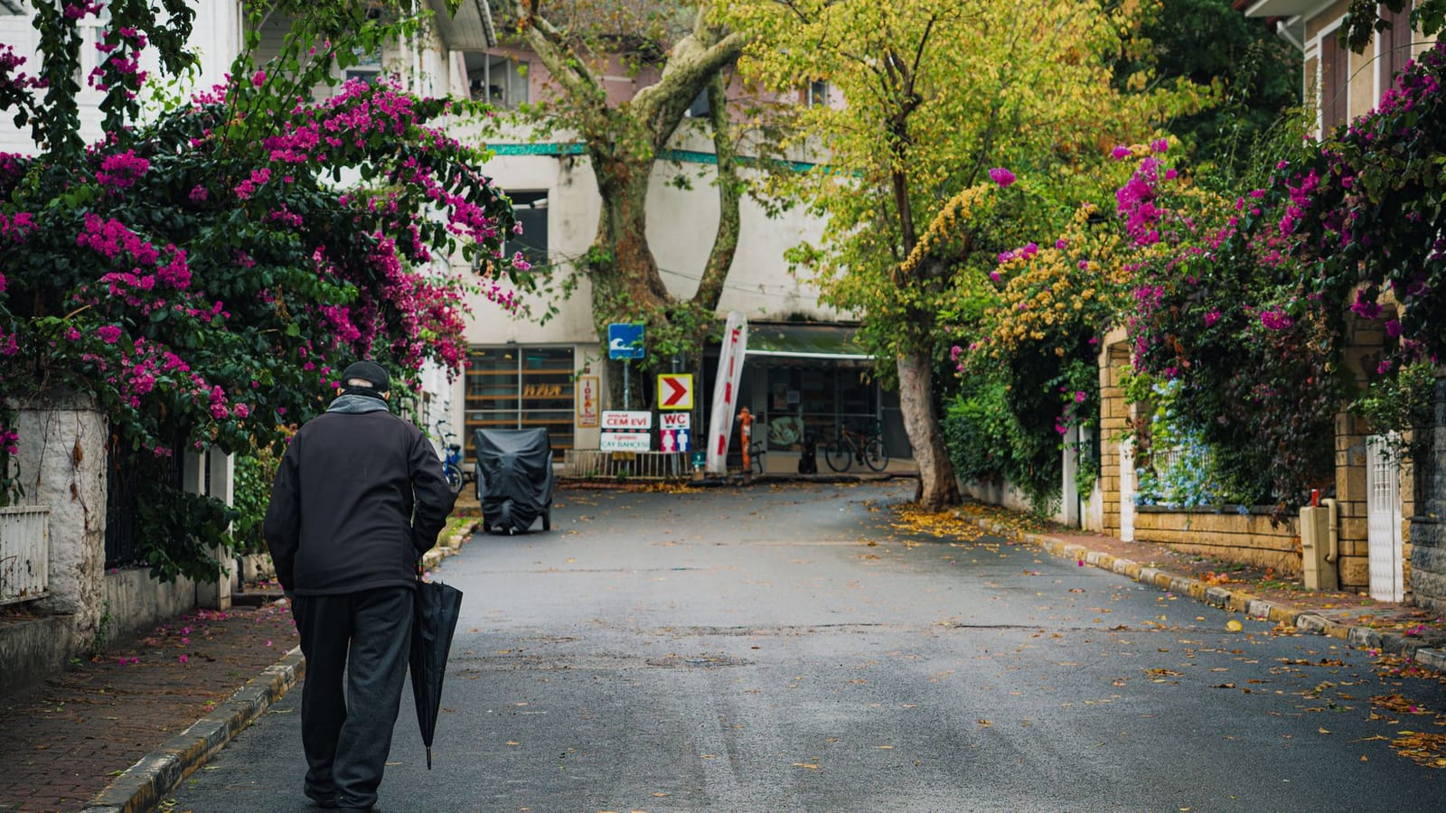 A resident walks along a quiet residential street lined with trees in Buyukada.