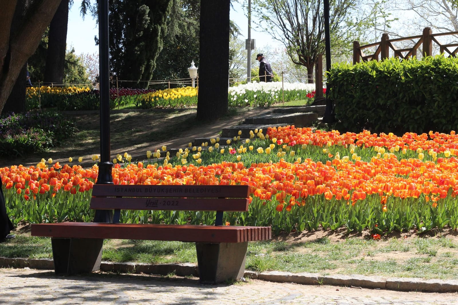 A park bench stands before blooming orange and yellow tulip beds in Istanbul.