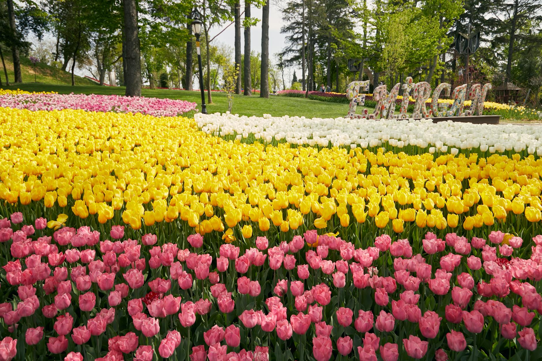 Vibrant yellow and pink tulips bloom near the mosaic Emirgan sign in the park.
