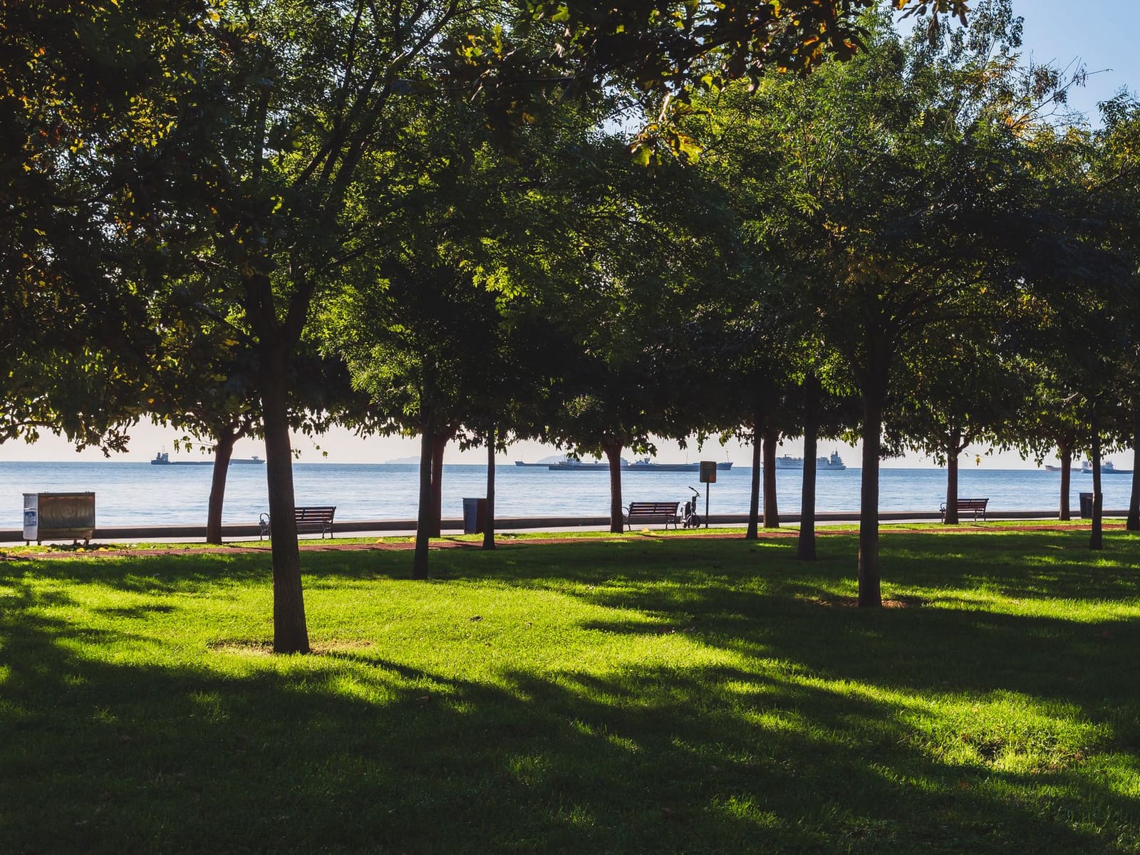 Benches and shaded trees overlook the calm sea along Fenerbahce Park grounds.