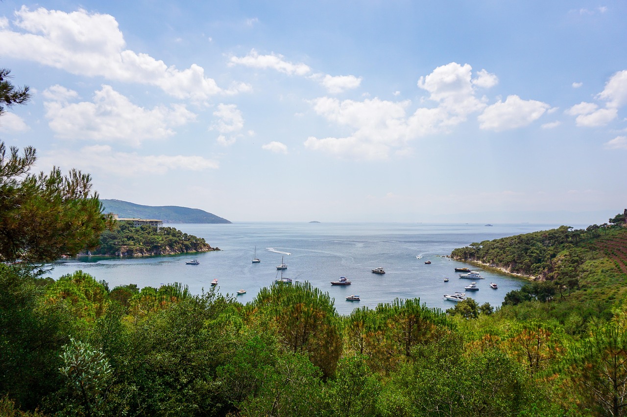 Lush pine forests surround a clear blue bay with boats anchored near Heybeliada.