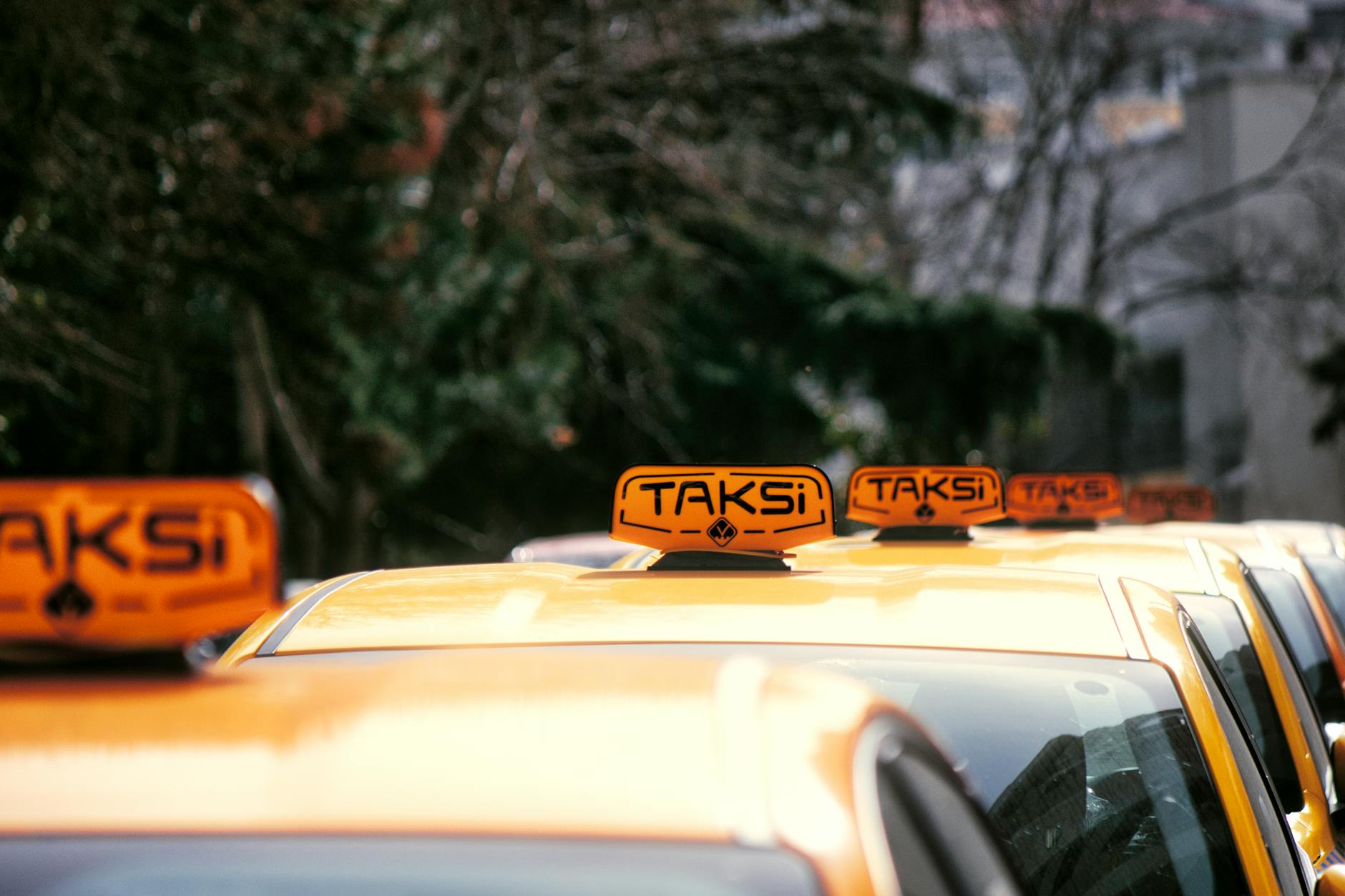 Rows of yellow Istanbul taxis with orange taksi signs on their roofs.