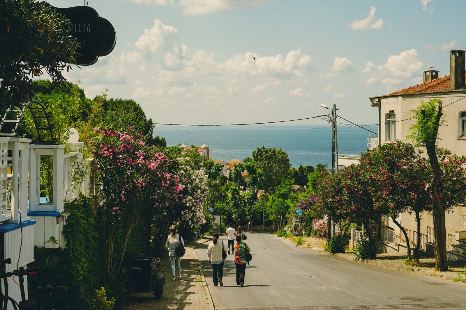 Pedestrians walk down a hillside road lined with summer homes and blooming trees toward the sea.
