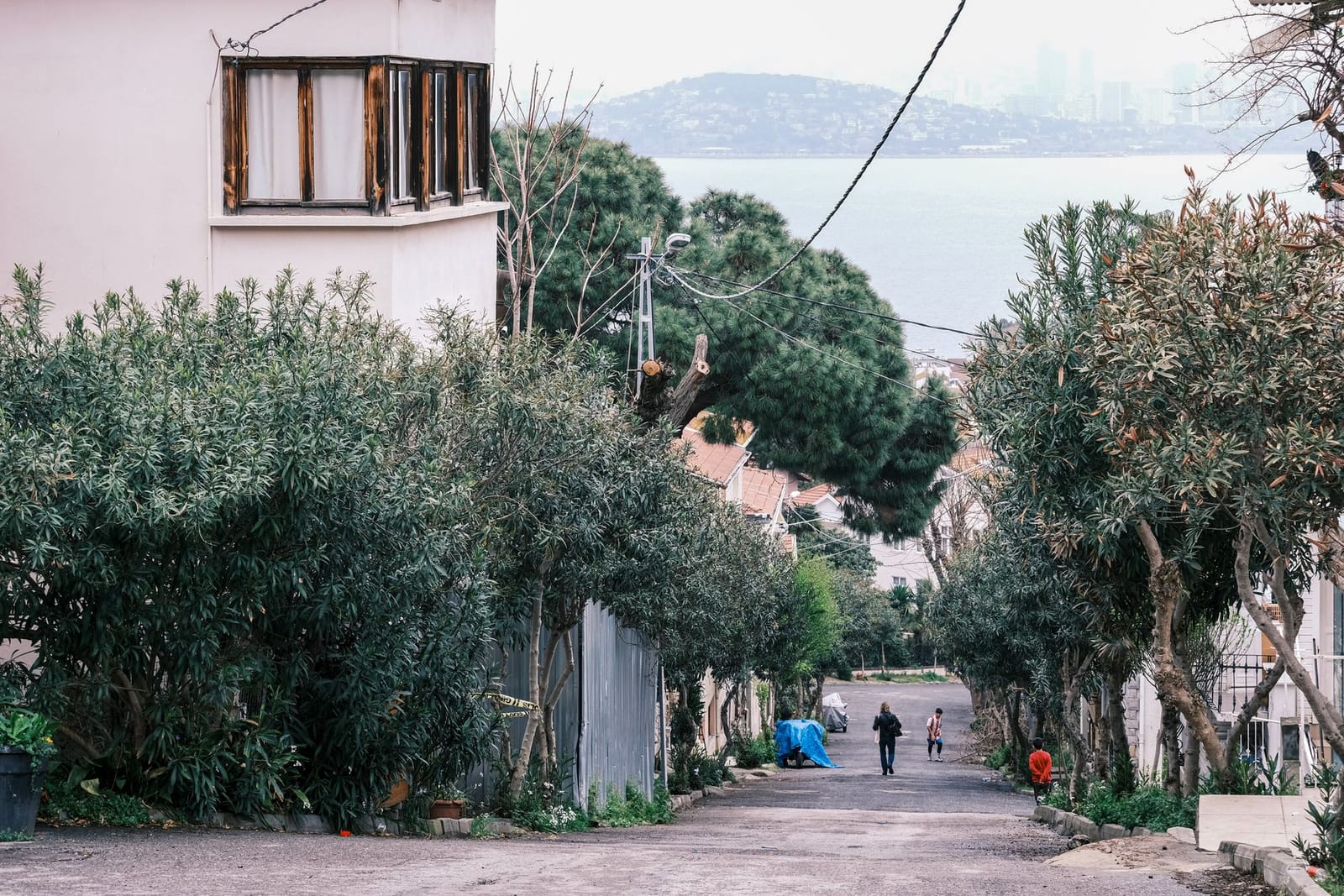 A quiet island street with mid-century homes descends toward the blue sea.