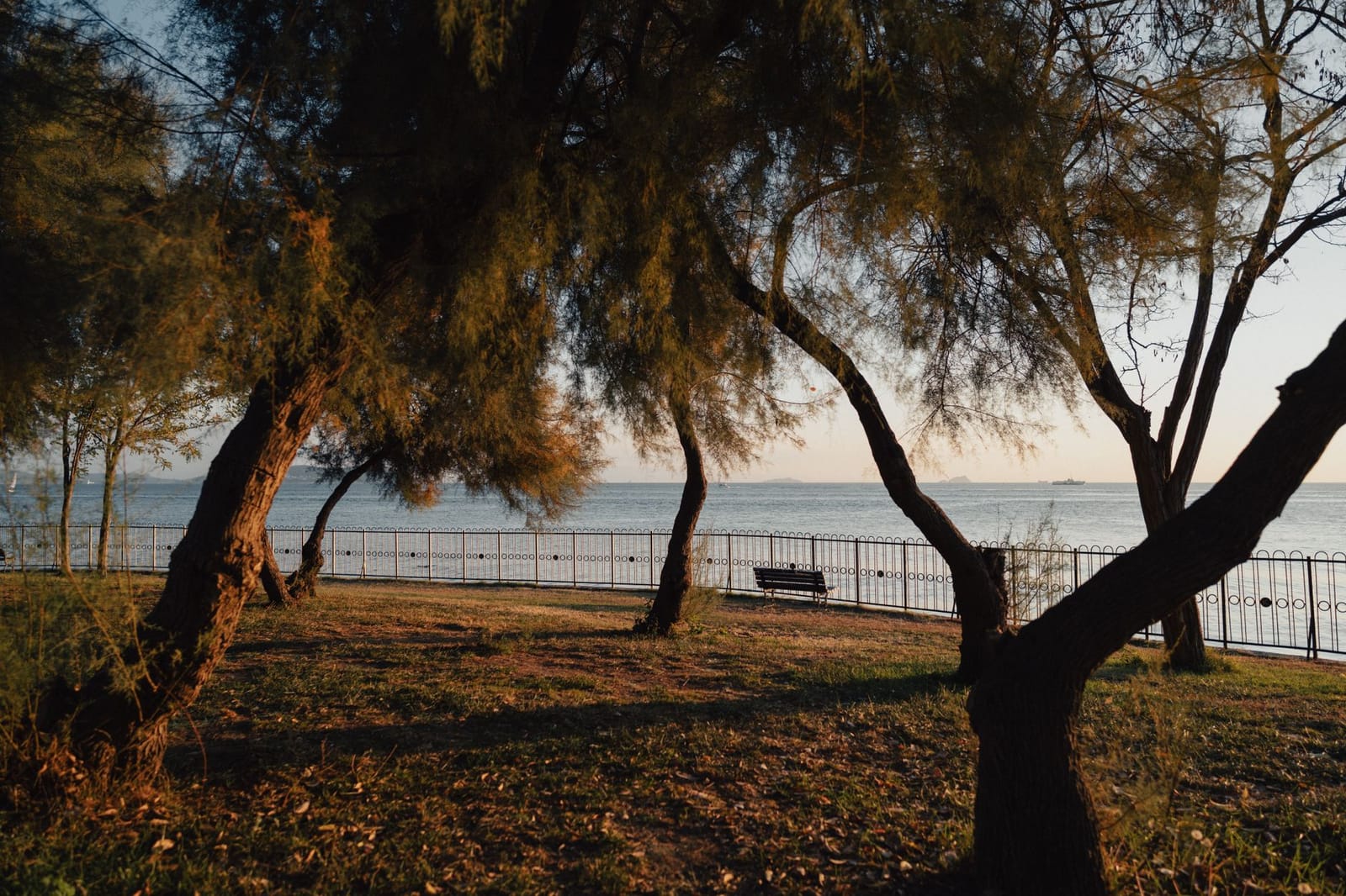 Scenic seaside park with shady trees and a bench overlooking the calm sea.