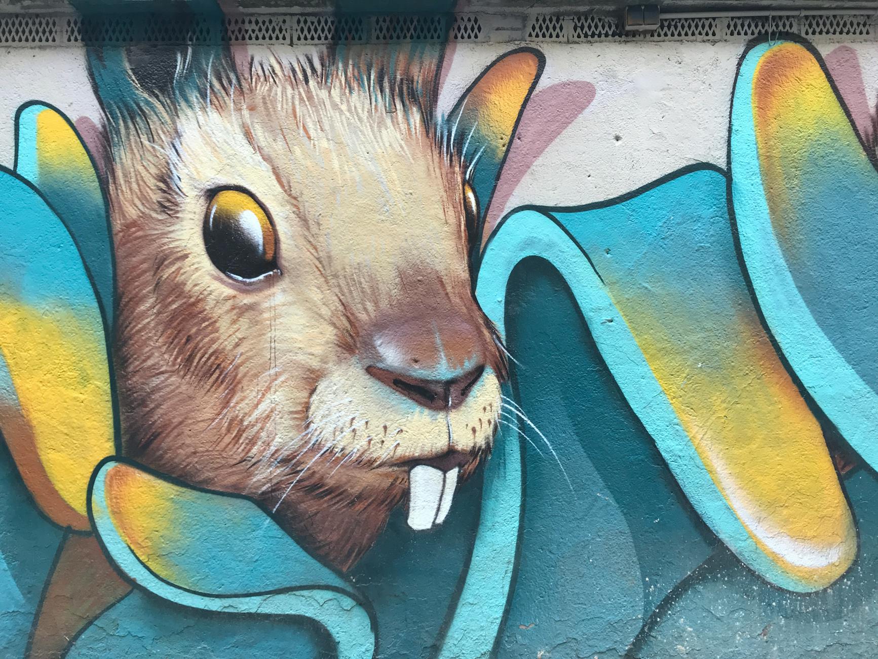 A detailed mural of a squirrel decorates a building wall in the Yeldegirmeni neighborhood.
