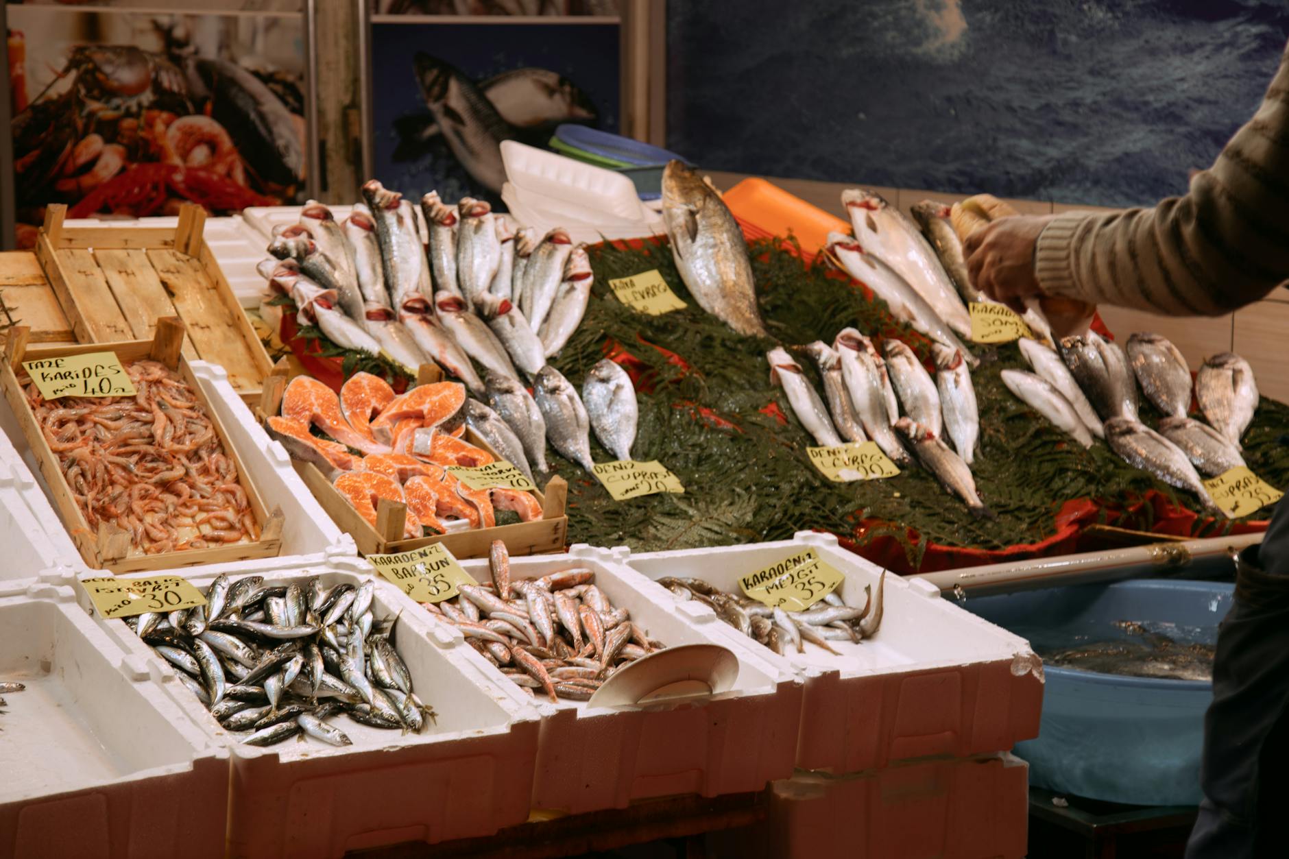 Fresh seasonal fish and shrimp displayed at a local market stall in Istanbul.
