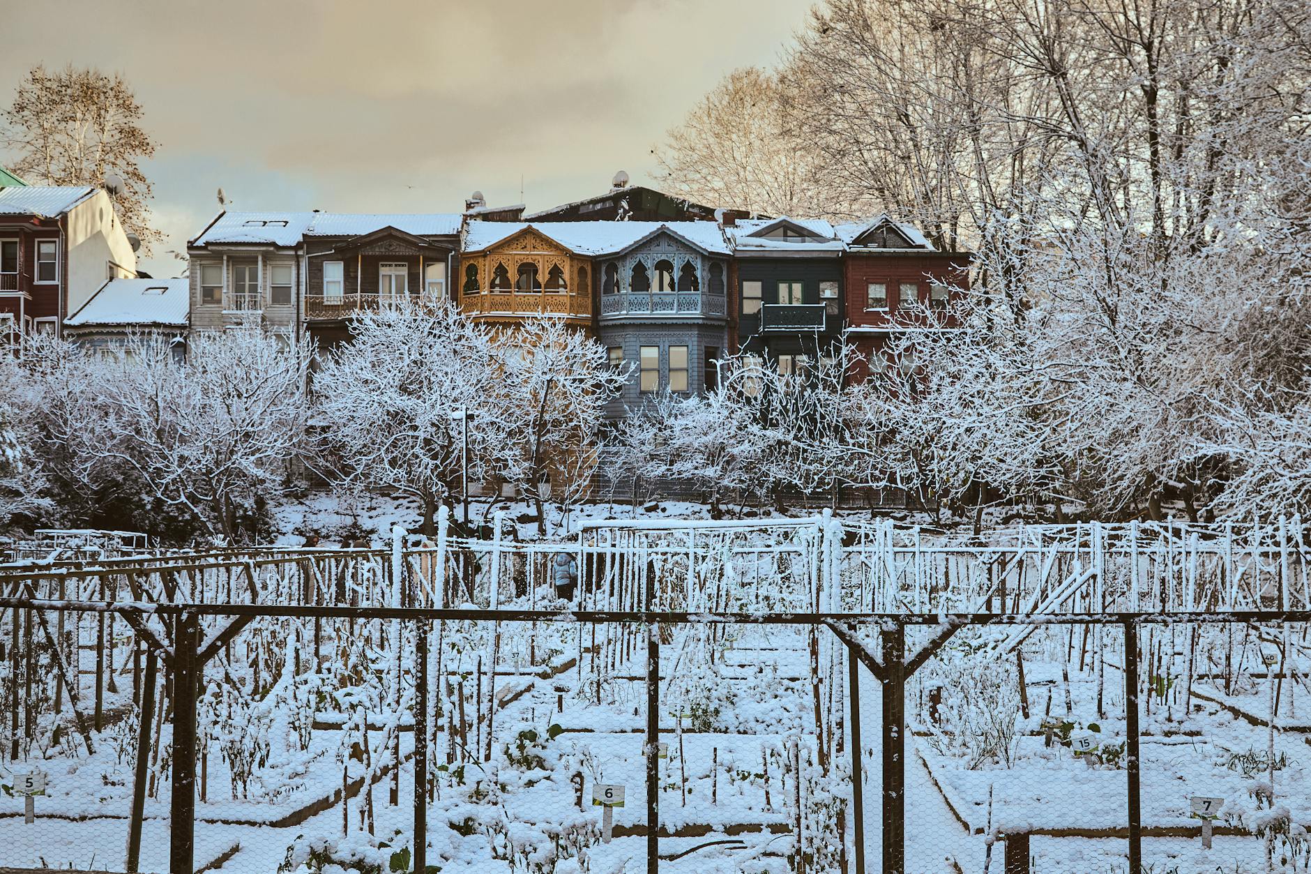 A row of historic, colorful wooden Ottoman-style houses covered in snow in Istanbul's Zeyrek neighborhood, viewed over a fenced, snow-covered community garden in winter.